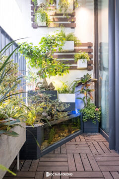nội thất gỗ óc chó anh tuấn the park home